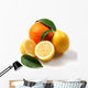 Fruits Wall Decal