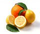 Fruits Wall Decal