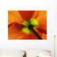 Red Poppy Wall Decal Design 4