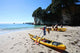 Sea Kayaking Coromandel Wall Decal