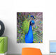 Peacock Wall Decal Design 1