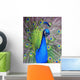 Peacock Wall Decal Design 1