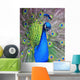 Peacock Wall Decal Design 1