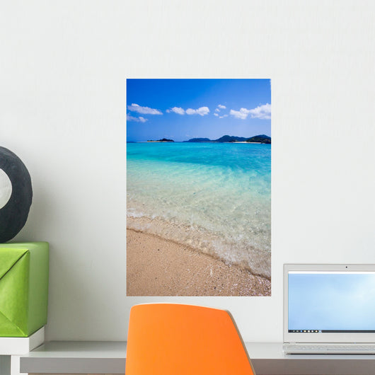 Transparent Waters Japanese Remote Wall Decal