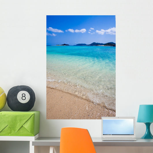 Transparent Waters Japanese Remote Wall Decal