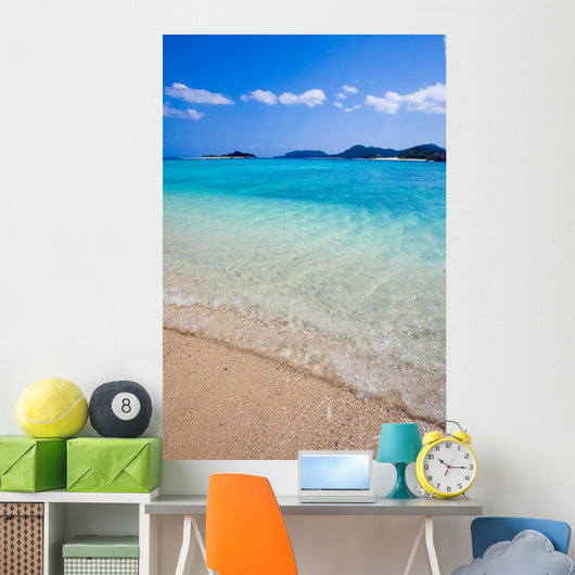 Transparent Waters Japanese Remote Wall Decal