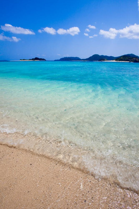 Transparent Waters Japanese Remote Wall Decal