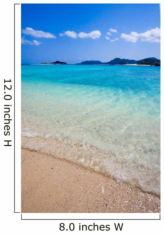 Transparent Waters Japanese Remote Wall Decal