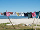 Clothes Line Wall Decal