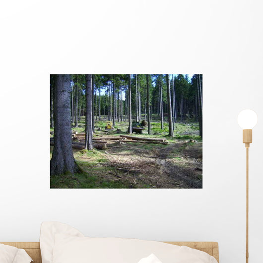 Holz R Cken Wall Decal