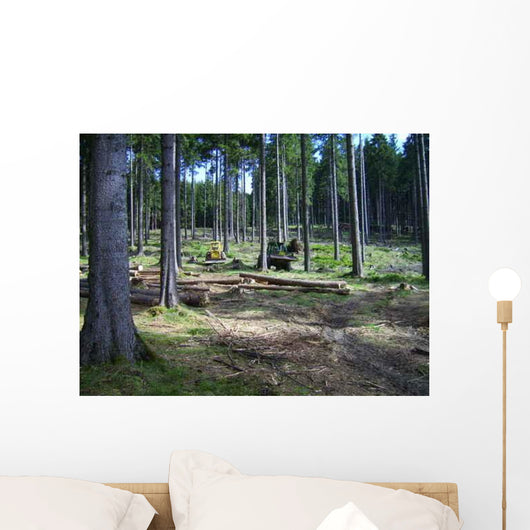 Holz R Cken Wall Decal
