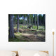 Holz R Cken Wall Decal
