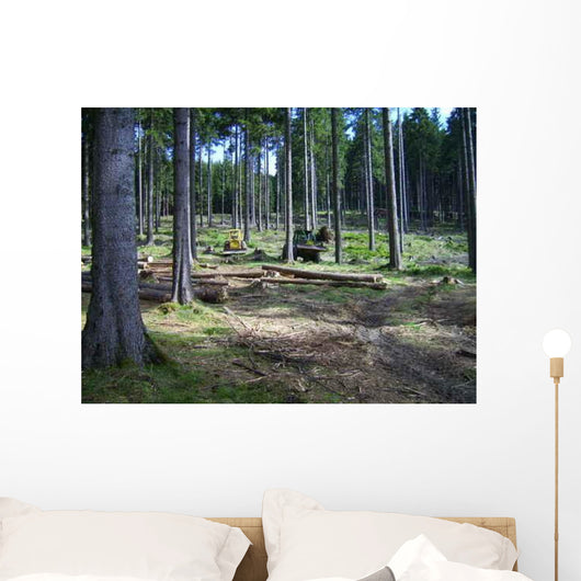 Holz R Cken Wall Decal