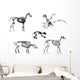 Animals Skeleton Wall Stickers Wall Decal