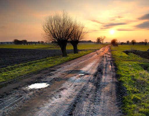 Road to Sun Wall Decal Design 1