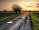 Road to Sun Wall Decal Design 1