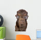 Handsome and Clever Labrador Wall Decal