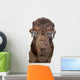 Handsome and Clever Labrador Wall Decal