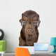 Handsome and Clever Labrador Wall Decal