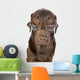 Handsome and Clever Labrador Wall Decal