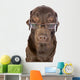 Handsome and Clever Labrador Wall Decal