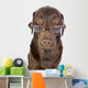 Handsome and Clever Labrador Wall Decal