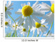 Sommerwiese Wall Decal