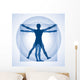 Human Proportions Wall Decal