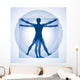 Human Proportions Wall Decal