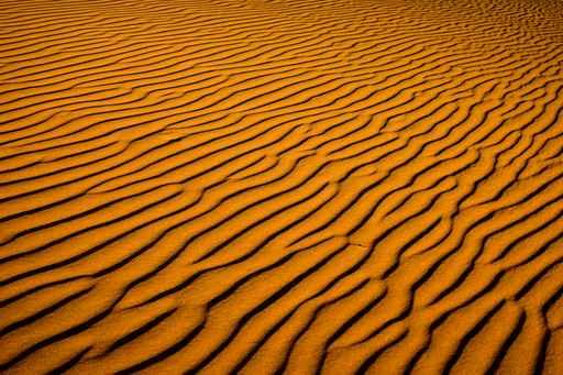 Sossusvlei Sand Wall Decal