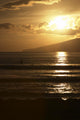 Maui Surfer Sunset Wall Decal