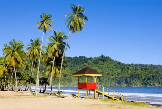 Maracas Bay Trinidad  Wall Decal