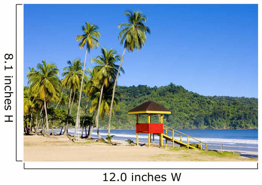 Maracas Bay Trinidad  Wall Decal