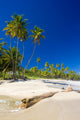Cumana Bay Trinidad  Wall Decal