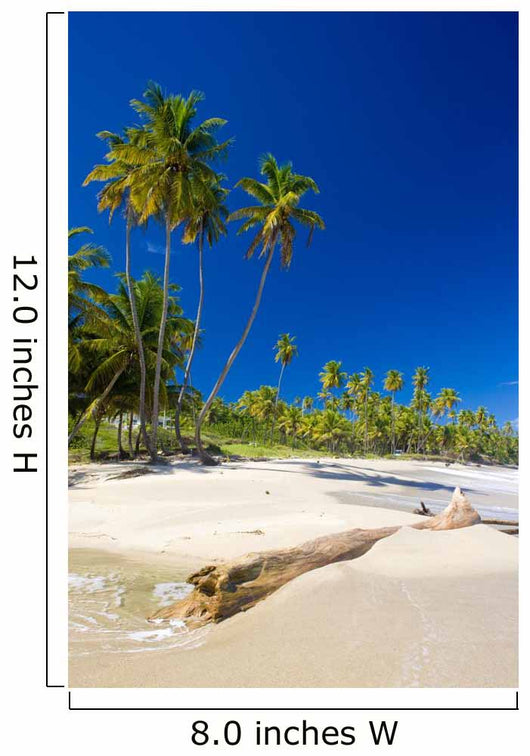 Cumana Bay Trinidad  Wall Decal