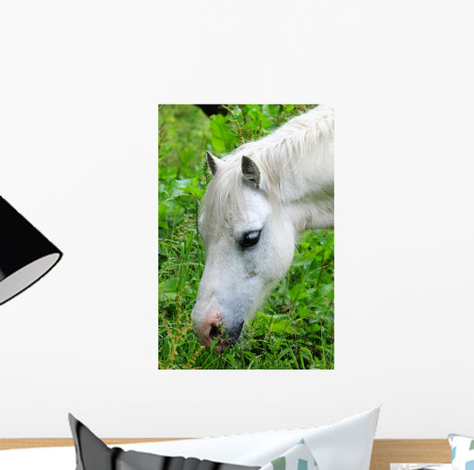 Headshot White Horse Grazing Wall Decal
