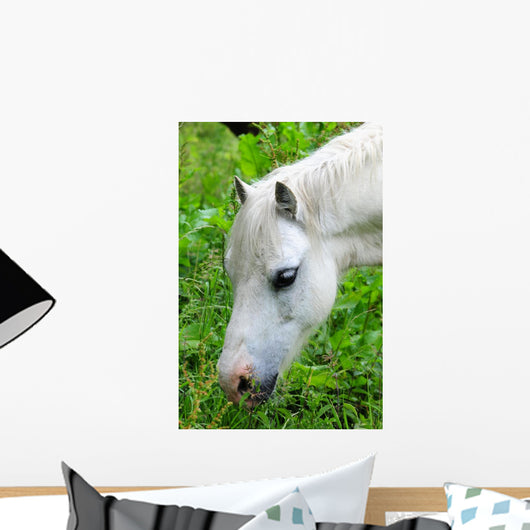 Headshot White Horse Grazing Wall Decal