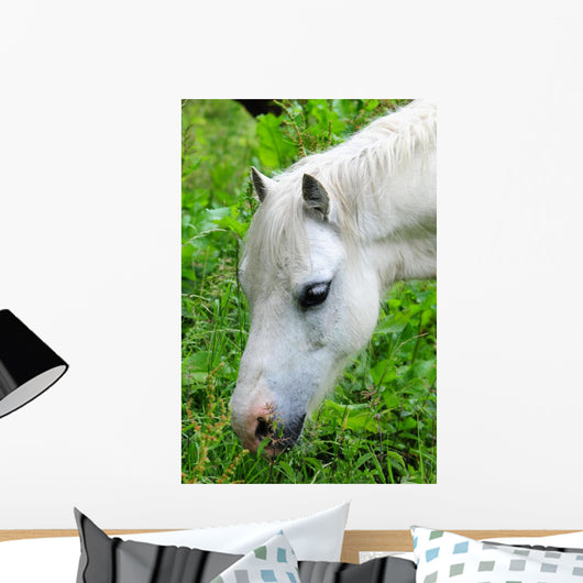 Headshot White Horse Grazing Wall Decal