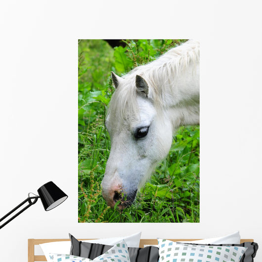 Headshot White Horse Grazing Wall Decal