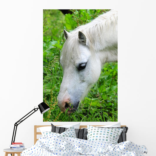 Headshot White Horse Grazing Wall Decal
