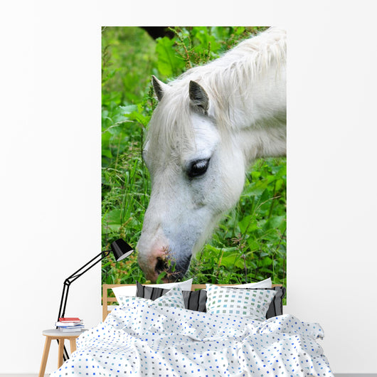 Headshot White Horse Grazing Wall Decal