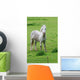 White Horse Wall Decal