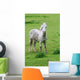 White Horse Wall Decal