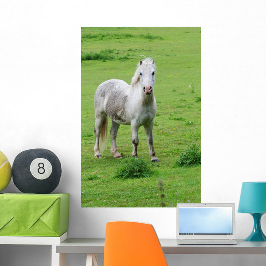 White Horse Wall Decal
