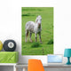 White Horse Wall Decal
