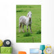 White Horse Wall Decal