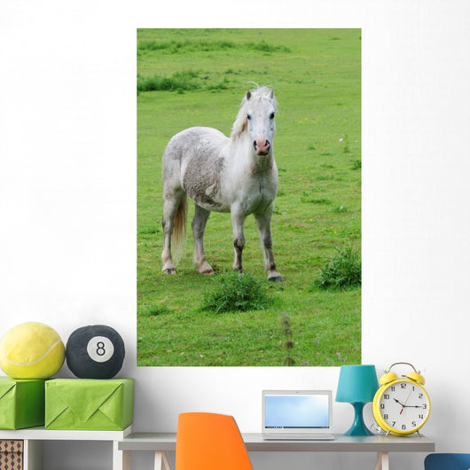 White Horse Wall Decal