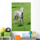 White Horse Wall Decal