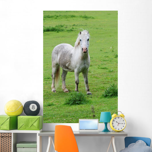 White Horse Wall Decal