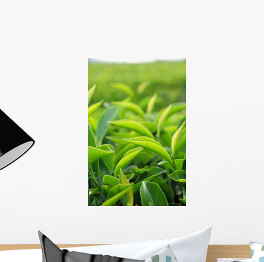 Young Green Tea Leaves Wall Decal